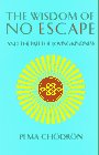 "The Wisdom of No Escape and the Path of Loving-Kindness" by Pema Chodron 