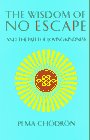 "The Wisdom of No Escape and the Path of Loving-Kindness" by Pema Chodron 